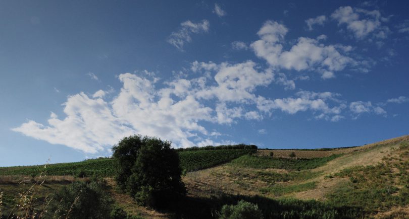 Canzonetta Agricola di Primavera